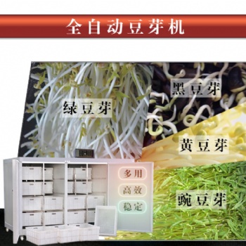 上海全自動豆芽機生產線 廠家 價格優惠