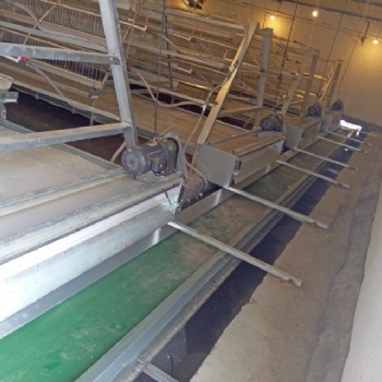 清糞機(jī) 層疊履帶式清糞機(jī)丨履帶式清糞機(jī)丨階梯履帶式清糞機(jī)丨銀星清糞機(jī)