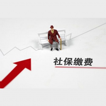 東莞社保代繳服務(wù)費用