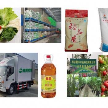 陜西有蔬菜基地的蔬菜配送公司