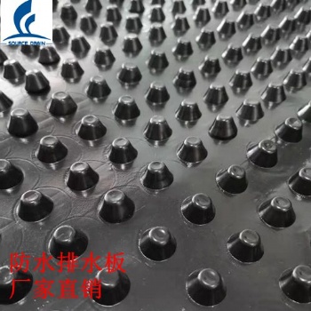 2公分排水板耐根刺排水板青島廠家供應(yīng)