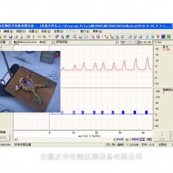 機能虛擬實驗室生理虛擬實驗室