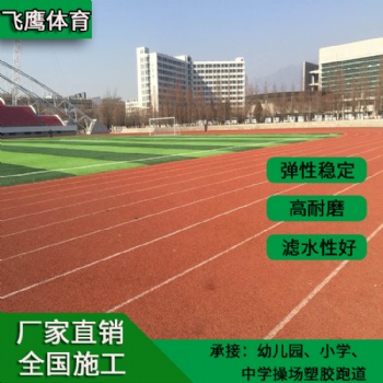 學(xué)校新國標(biāo)優(yōu)質(zhì)透氣型塑膠跑道工程新國標(biāo)塑膠跑道材料廠家