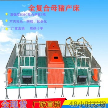供應山東泰山新型落地式母豬產床 雙體復合產床 產保一體兩用