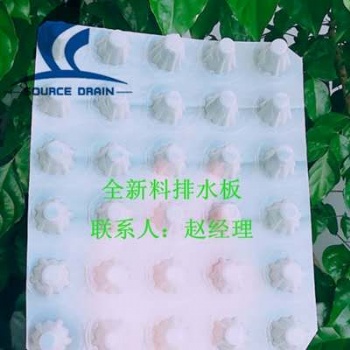南陽排水板廠家供應(yīng)卷材排水板地下車庫排水板