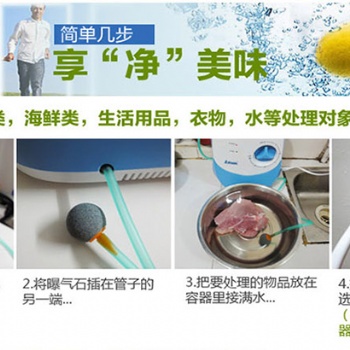 多功能果蔬凈化器 活氧機 臭氧機 瓜果蔬菜機 空氣器