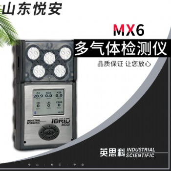 美國英思科MX6 便攜式 復合式六合一氣體濃度檢測儀 可檢18種氣體