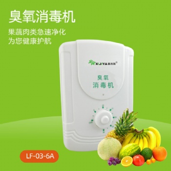 空氣消毒機家用臭氧機水果蔬菜多功能家用解毒機凈化器