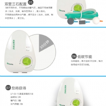 多功能活氧機 果蔬解毒機 臭氧機 臭氧消毒機