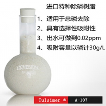 杜笙樹脂除工業(yè)廢水有機(jī)磷無機(jī)磷A-107