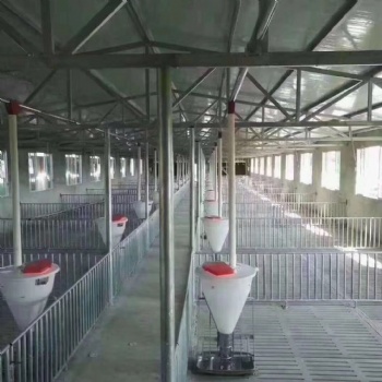 塞盤鏈條養豬自動料線 自動化飼喂設備料線 豬舍刮糞機
