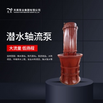 高壓電機QZ潛水軸流泵生產(chǎn)廠家