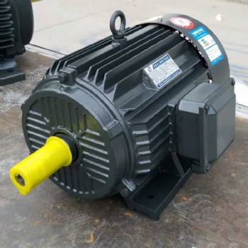 三相異步電動機廠家