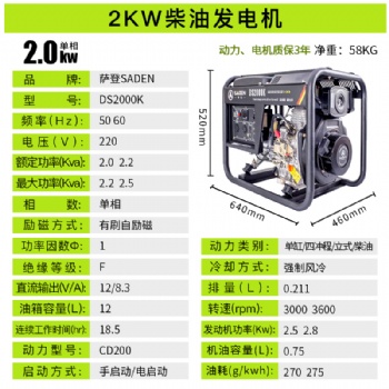 德國技術(shù)薩登水泵抽水柴油發(fā)電機