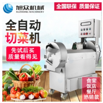多功能切菜機(jī)切片切絲切塊一機(jī)多用切菜機(jī)