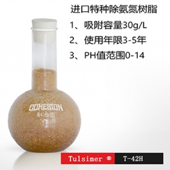 超純水混床樹脂除氨氮請(qǐng)選杜笙T-42