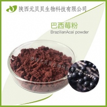 巴西莓粉 巴西莓萃取物 花青素廠(chǎng)家直供 巴西莓果粉