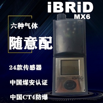 英思科MX6復合式氣體檢測儀注意事項