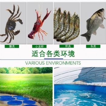 惠州拓翔大型戶外帆布養殖水池可養各種水產高密度環保耐用防靜電漏水耐寒
