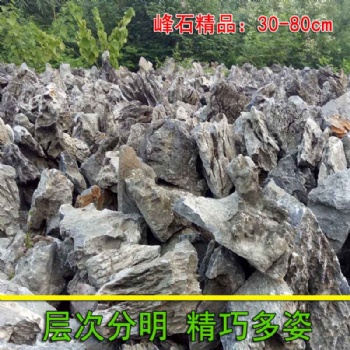 廣州景區(qū)別墅用精品峰石魚池噴泉假山石