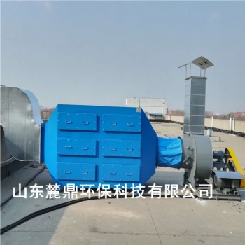 安徽亳州2萬風(fēng)量油漆廠抽屜式廢氣處理裝置-自產(chǎn)自銷 質(zhì)優(yōu)價(jià)廉