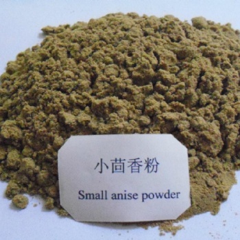 小茴香粉 調味品香辛料 實力廠家 琦軒食品 廣東東莞