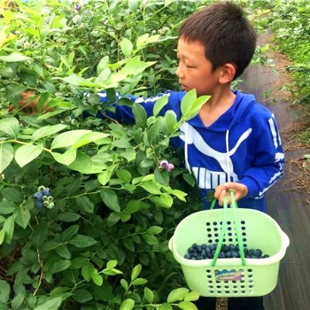 長沙縣開慧錫福羅王古寨生態農莊旅游