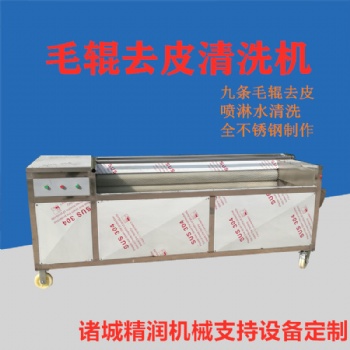 廠家定做全自動(dòng)荷蘭豆毛輥清洗設(shè)備