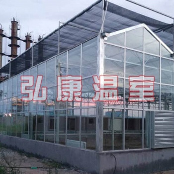 弘康溫室 智能溫室、玻璃連棟溫室建設(shè)