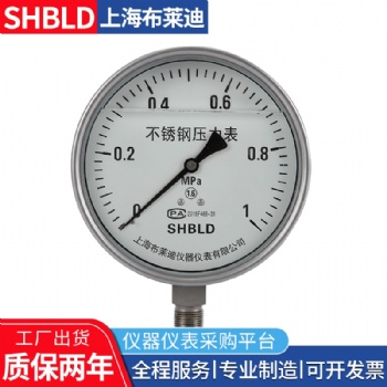 耐震不銹鋼壓力表YTF-100Z布萊迪Y100F,Y150BF