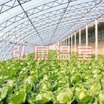 溫室大棚工程，果蔬溫室大棚、塑料薄膜溫室大棚建設(shè)，溫室配套設(shè)施