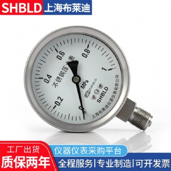 布萊迪壓力表，一般壓力表，不銹鋼耐震壓力表，壓力表生產(chǎn)廠家