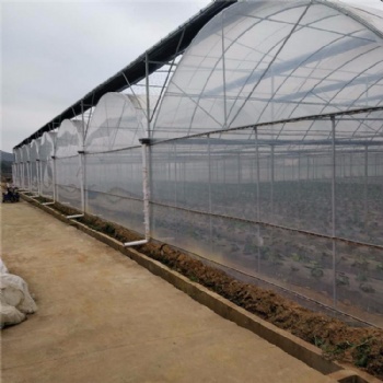 連棟薄膜溫室設計 薄膜溫室大棚建設