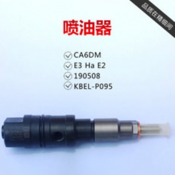 噴油器總成柴油車共軌輕卡大貨車電噴型號(hào)齊全