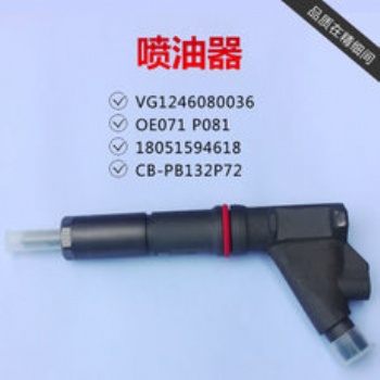 P型 噴油器總成廠家