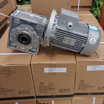 中研紫光減速電機NMRW090