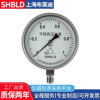 上海布萊迪Y-200,Y-250普通一般壓力表氣壓表
