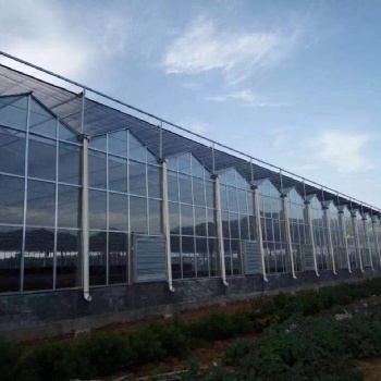 智慧農業 新型種植大棚建造