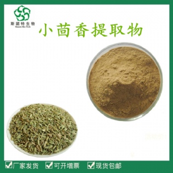 小茴香**10:1 20:1 小茴香粉 廠家供應