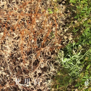 松原液態(tài)深層發(fā)酵無添加除草醋