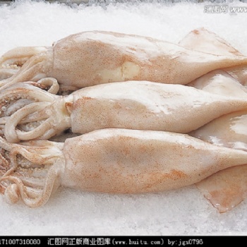 海鮮進口，不得不知的**過程！報關報檢