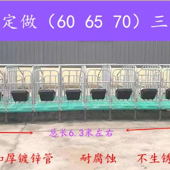 母豬限位欄 加寬加高可定制 畜牧養(yǎng)殖設(shè)備