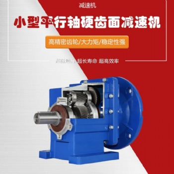 臺亞廠家直供大規格可定制的TRC小型斜齒輪精密減速機
