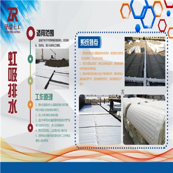 福州H20PVC 蓄排水板土工布廠家價格