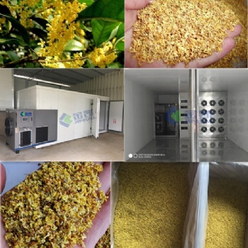 桂花烘干機#廣州金凱空氣能烘干設備#烘干除濕一體機。