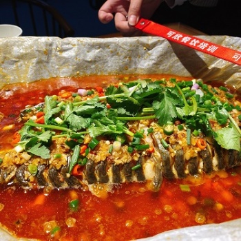 正宗的紙包魚技術(shù)培訓(xùn)哪里學(xué)習(xí)來可欣餐飲