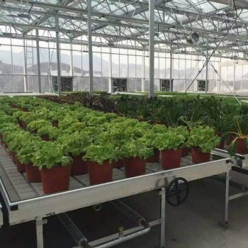 供應蘭州華耀溫室土豆育苗CN-98潮汐苗床潮汐灌溉