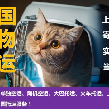 寵物單獨航空運輸、寵物汽運、寵物大巴托運、寵物專車托運、上門接送
