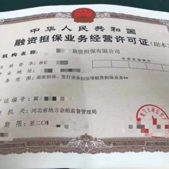 轉讓河北石家莊融資擔保公司干凈無異常