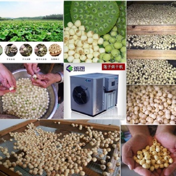 蓮子、蓮子芯烘干#廣州金凱熱泵烘干設(shè)備#烘干除濕一體機(jī)